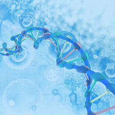 Gene/Genome Editing